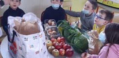 Le conseiller numérique est intervenu mercredi 2 mars à l'ALSH