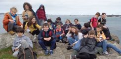 ecole-mer-islandais