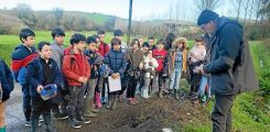 es élèves des classes bilingues élémentaires de Julien Antoine et Chloé Le Fralliec ont exploré les bois avec Jakez Lintanff, animateur nature bretonnant.
